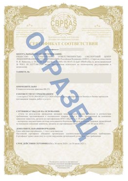Образец Сертификат СТО 01.064.00220722.2-2020 Чудово Сертификат СТО 01.064.00220722.2-2020 